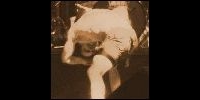 Rollins Band koncert február 21-én a PeCsa-ban