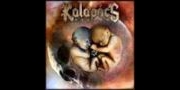 Kalapács: Ösztön