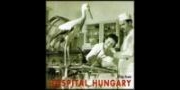 Pop Iván: Hospital Hungary