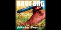 A Navrang első stúdióalbuma december 5.-én jelenik meg Pangea címmel a Trottel Records gondozásában