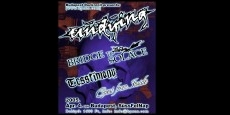 Undying, Bridge To Solace, Tesstimony, Quest From Inside