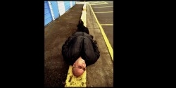 Frank Black szólóalbum