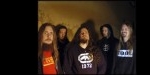 Meshuggah(SWE), Scarve(F), Neck Sprain, Subscribe