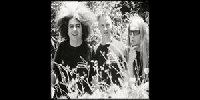 Melvins tribute augusztusban