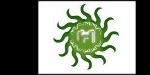 Együtt, egymásért, egymás által: Hanna Fest
