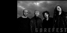 Dalrészletek a Gorefest visszatérő albumáról