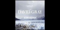 David Gray új albummal jelentkezik