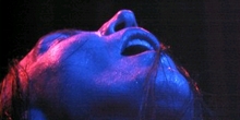 The Living Jarboe, Pozvakowski