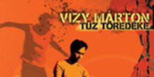 Vizy Márton: Tűz töredéke
