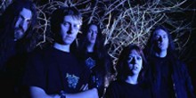 Bolt Thrower, Malevolent Creation, Nightrage, Necrophagist