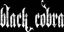 Kétverziós Black Cobra lemez