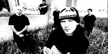 Roy Mayorga a Stone Sour-nál