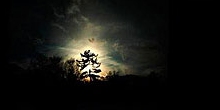 Lumen Pictura - Danczák István fotóművész kiállítása Fotocellában