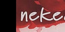 Neverland: Neked