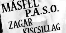 Házibuli  Szilveszter: Zagar, Pannonia Allstars Ska Orchestra, Kiscsillag és a Másfél az Almássy Téren