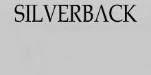 Silverback Productions workshop