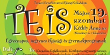 TE IS 2007