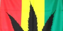 Million Reggae Night a Gravefruit Sound reggae zenekarral