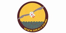 Sirály újra nyit