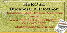 Nyílt- és Örökbefogadó nap a Herosz Állatotthonban