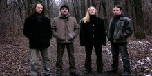 Gyöngyvér - hírek