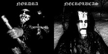 Mord - az Osmose-hoz szerződtek