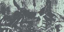 The Idoru, Embers a Merlinben