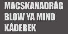 Macskanadrág koncert Salgótarjánban