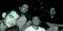 Fürgerókalábak - Vizuális róka bugi