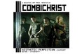 Demons On Tour: Combichrist, Aesthetic-Perfection