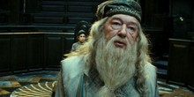 Dumbledore viccel
