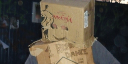 Sziget 2009: 5.nap
