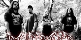 Resurrected - még idén új lemez