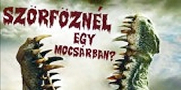 A Mocsárláz klubsorozat bemutatja: Mocsárszörf - baljós hullámok