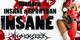 Koncerttel köszön el a Sport Rock Klubtól az Insane és az Angerseed