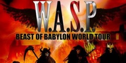 W.A.S.P.