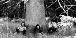 Wolves In The Throne Room, The Moon And The Nightspirit