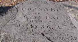 Rózsakő Fesztivál