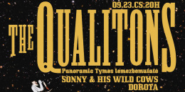 The Qualitons – Panoramic Tymes lemezbemutató, Sonny & His Wild Cows, Dorota
