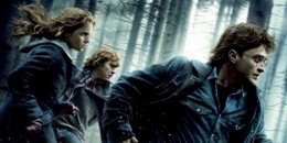 Harry Potter és a Halál Ereklyéi I. rész