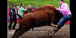 Jackass 3D