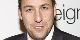 Sandler csillaga
