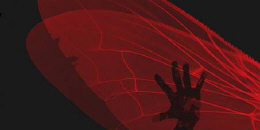 The Haunted - új dal a neten