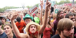 Sziget fókusz 2011-ben