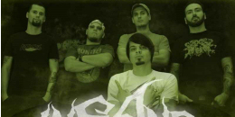 Insane – Európa turné, stúdió, sörmajális