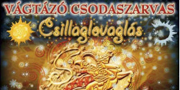 Új album: Vágtázó Csodaszarvas a Fonóban