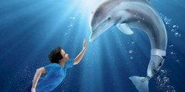Delfines Kaland 3D