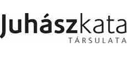Újra porondon Juhász Kata és projektje