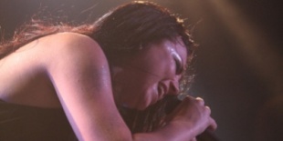 Evanescence, The Idoru