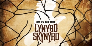 Lynyrd Skynyrd - Last Of A Dyin´ Breed